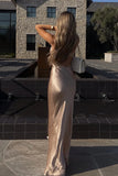 Elegant Champagne Gold Sweetheart Spaghetti Strap Backless Long Mermaid Prom Dress HZ0311