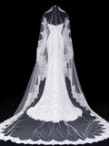 Timeless Wedding Gowns Dresses Romantic Mermaid Sweetheart for Bride Lace White Petite/Plus Size Bridal Gown For Women HZ0311