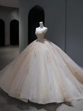 Princess Long Wedding Dress Ball Gown Strapless Blush Pink Style for Bride With Beaded Sequin Bodice Train Bridal Dresses HZ0311